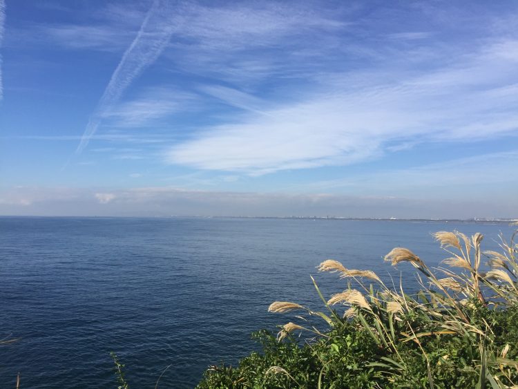 한-일 번역 [바이오분야환영]-이미지