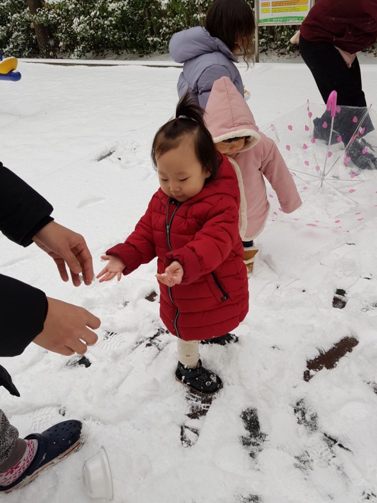 원하시는 프로그램 개발해드려요-이미지