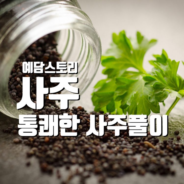 [예담스토리 사주] 기분좋은 사주풀이# 2019 신년운세#-이미지