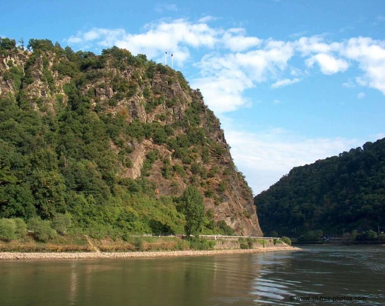 영어 및 독일어 번역 아주 저렴하게!!-이미지