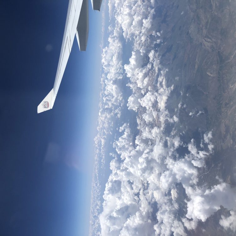 24시간 연중무휴 신속번역-이미지