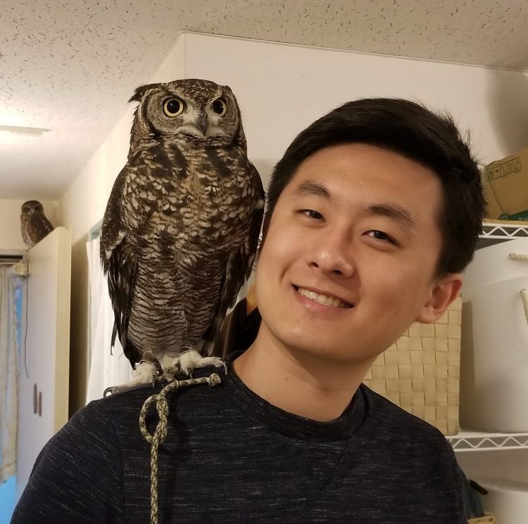 영한 번역, 한영 작문 정확하고 깔끔하게 해드립니다-이미지