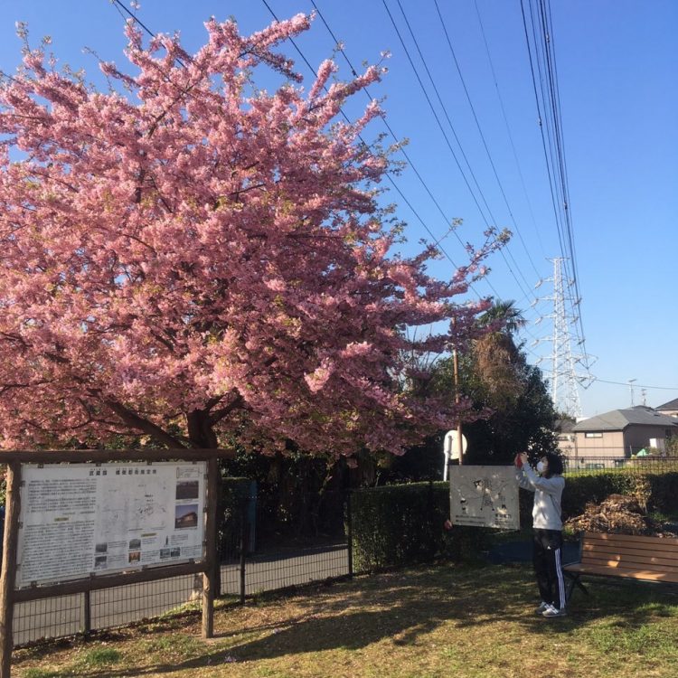 한일-일한 번역합니다!-이미지