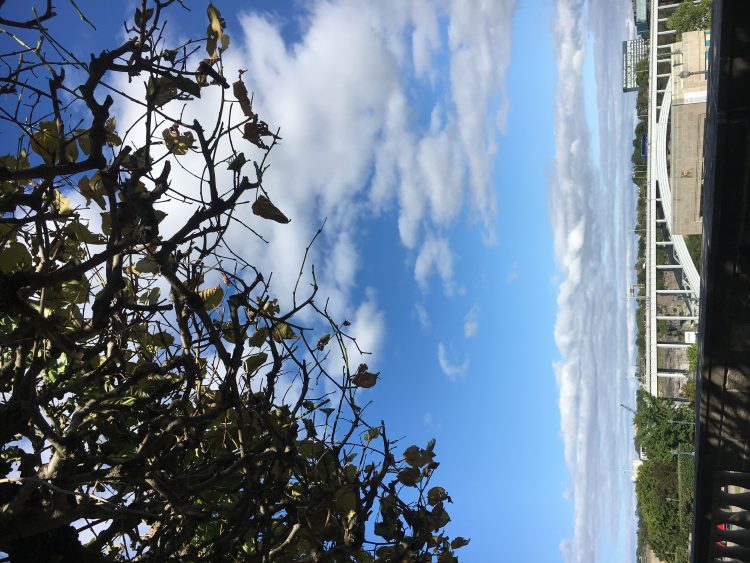 한글 워드 대신 타이핑 해드립니다-이미지