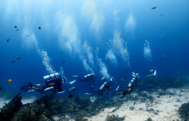 스킨스쿠버는 어려운 운동이 아닙니다.-이미지