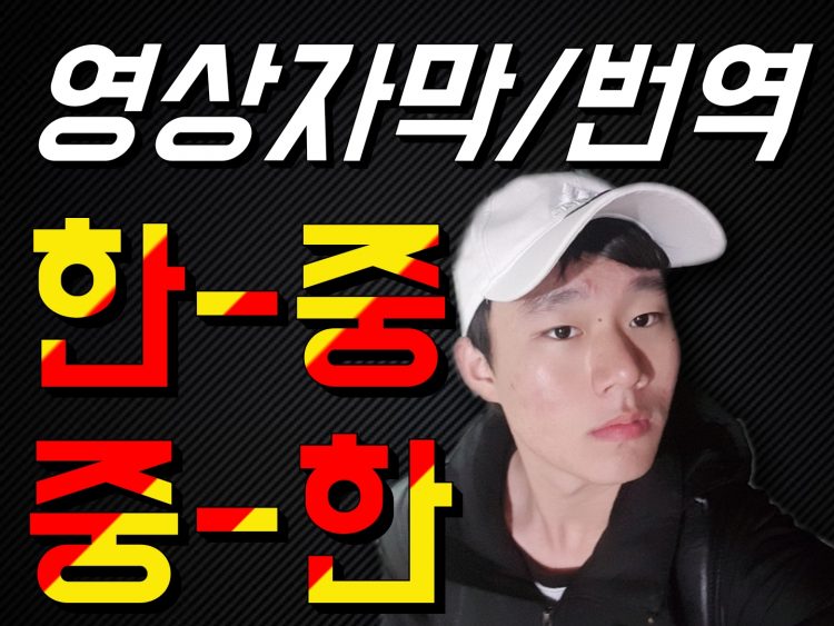 [신 HSK 6급/AP 중국어 만점] 빠르고, 확실하게 중국어 번역-이미지