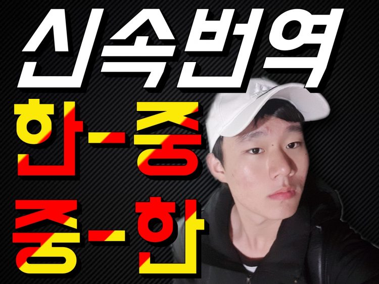 [신 HSK 6급/AP 중국어 만점] 빠르고, 확실하게 중국어 번역-이미지