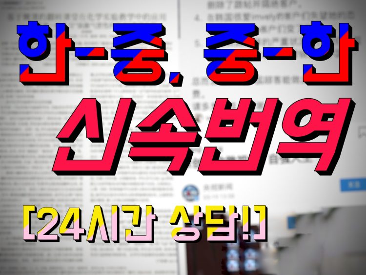 [신 HSK 6급/AP 중국어 만점] 빠르고, 확실하게 중국어 번역-이미지