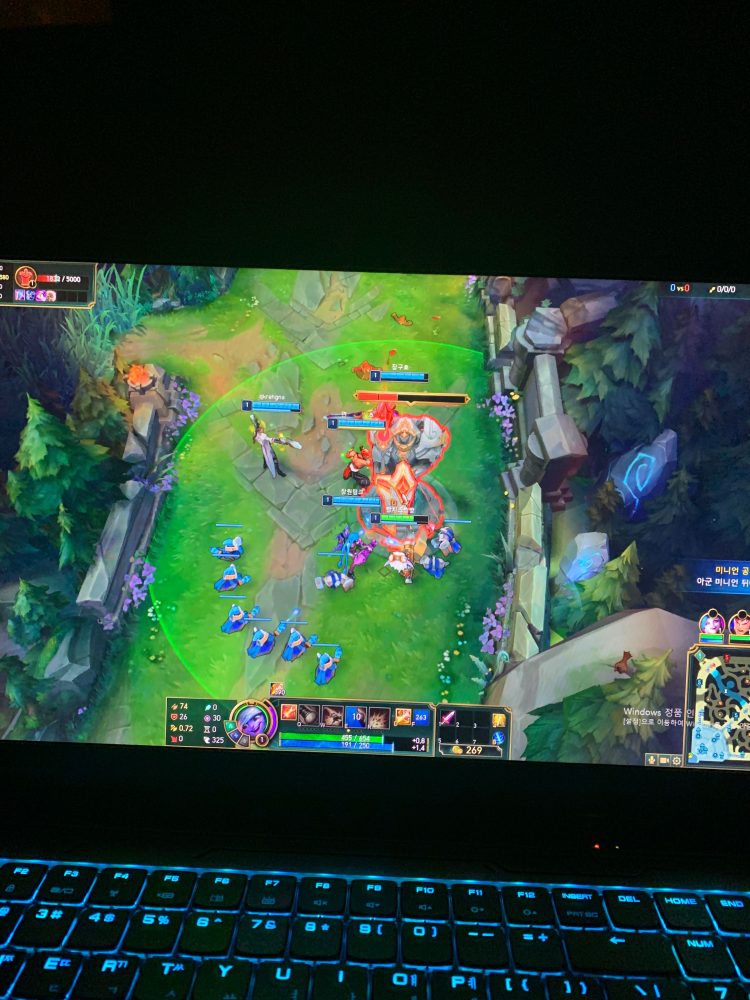 롤 육성대리-이미지