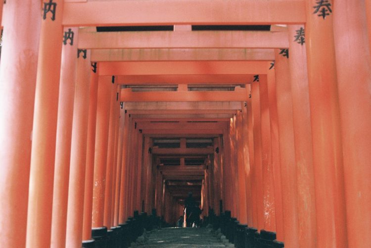 저렴하게 일본어 번역 해 드립니다-이미지