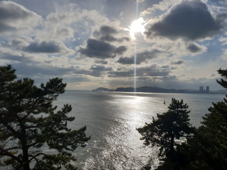 베->한 번역-이미지