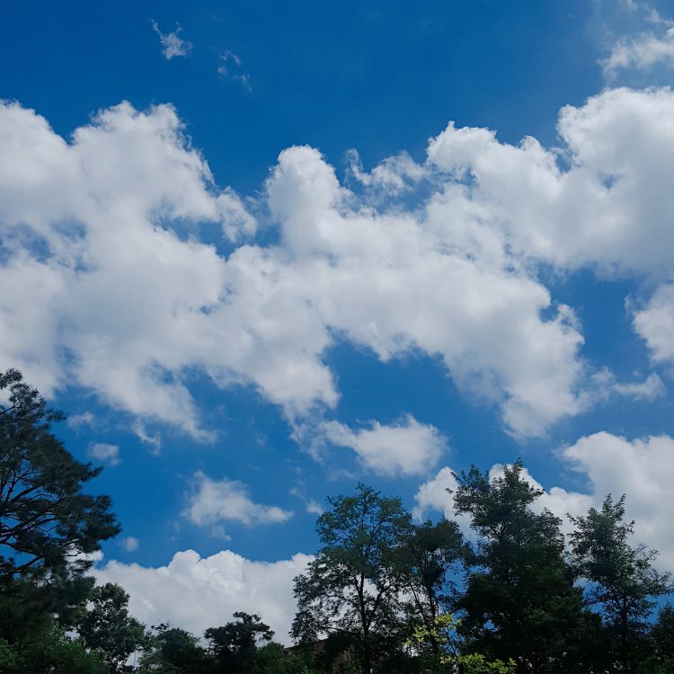 [레포트] 사회복지학, 아동학, 상담심리학 분야 보고서-이미지