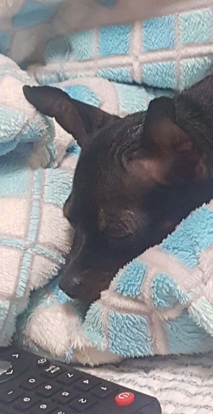 인스타 좋아요 / 팔로우 최저가-이미지