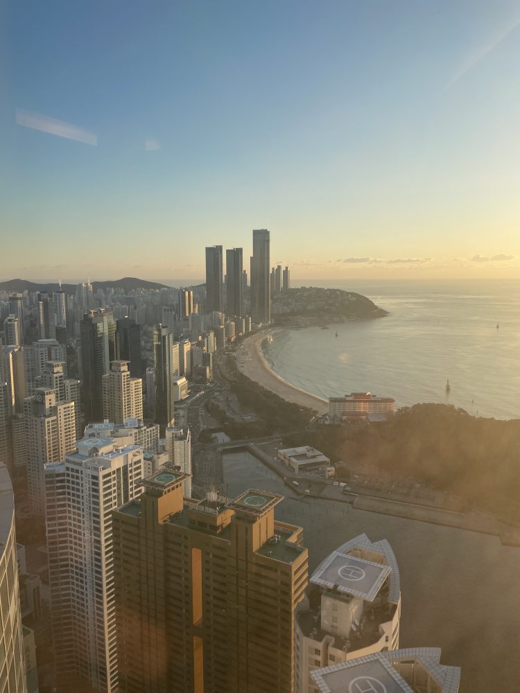 일본 국립대학 합격자 정확한 번역 해드립니다-이미지