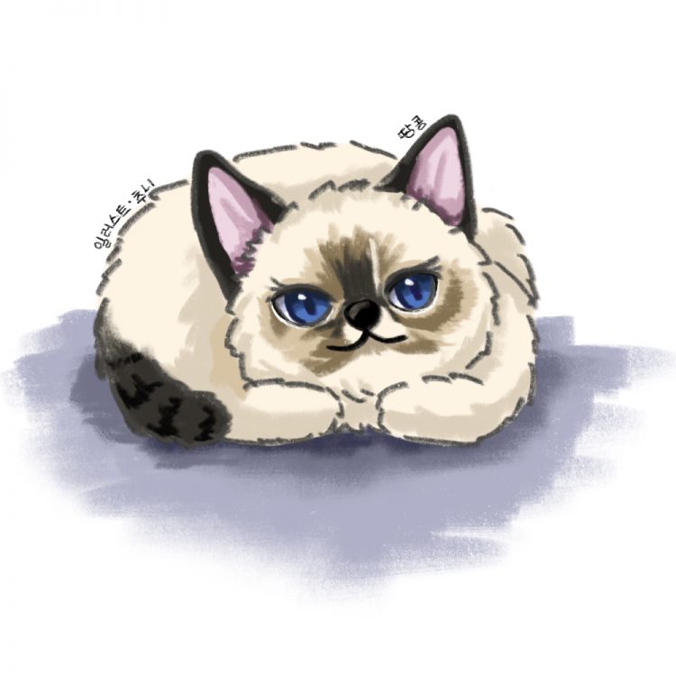 고퀄리티 일러스트 작업해요-이미지