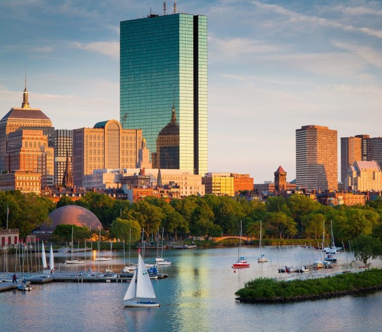 미 Law school 졸업, 빠르고 성실한 번역-이미지