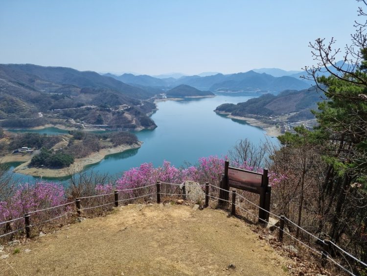 번역/첨삭/교정/편집/문서작성-이미지