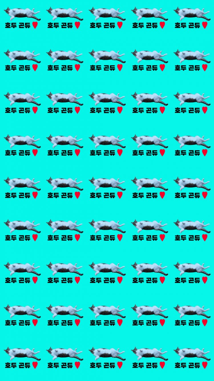 포토샵을 이용한 보정/누끼/패턴 방식 바탕화면 만들어드립니다.-이미지