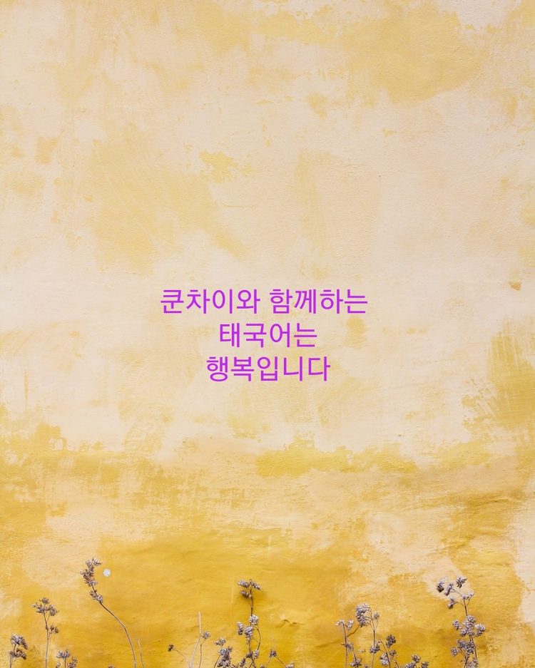 대구태국어 과외-이미지