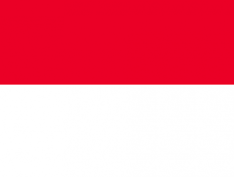 인도네시아어 통번역-이미지